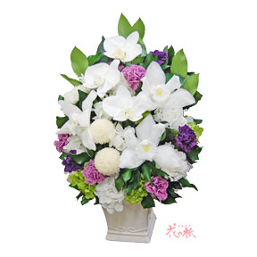 胡蝶蘭とシンビジューム　プリザーブドフラワーのアレンジメント